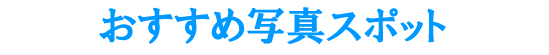 �������ߎʐ^�X�|�b�g